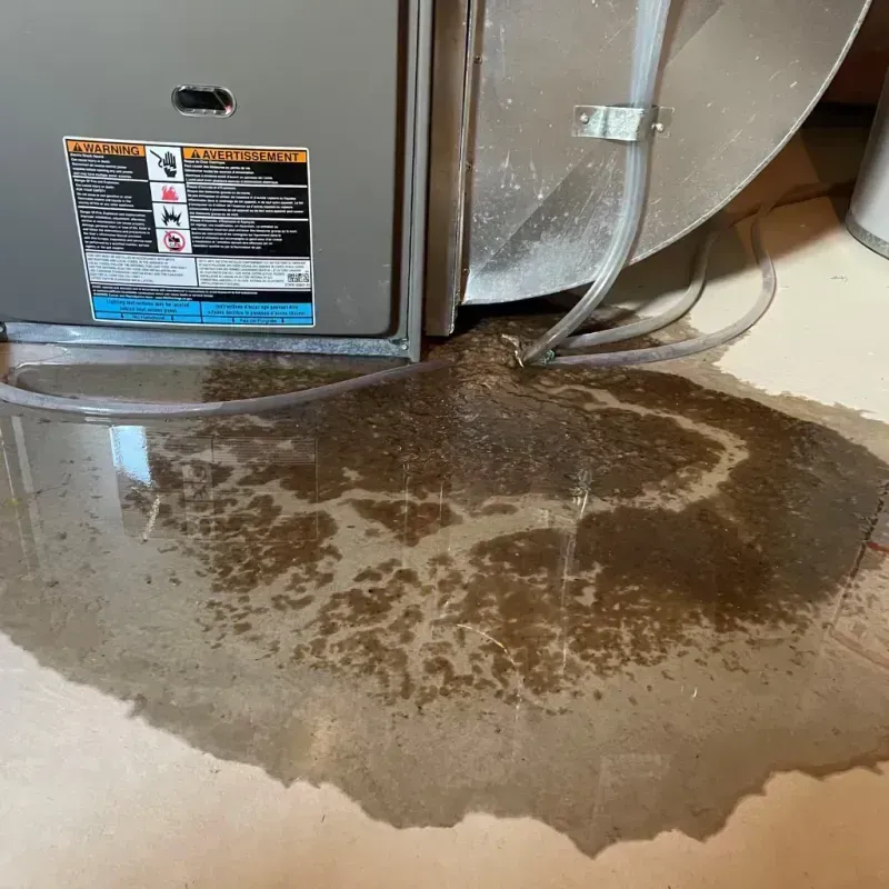 Appliance Leak Cleanup in Los Ranchos de Albuquerque, NM